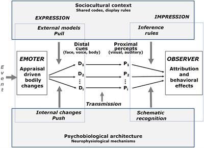 Dynamic Facial Expression of Emotion and Observer Inference